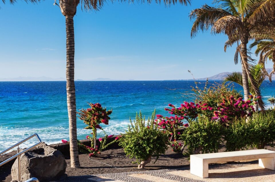 Обираємо Іспанію: материк, Майорка чи Канари? Повний гід для туристів 2026 року