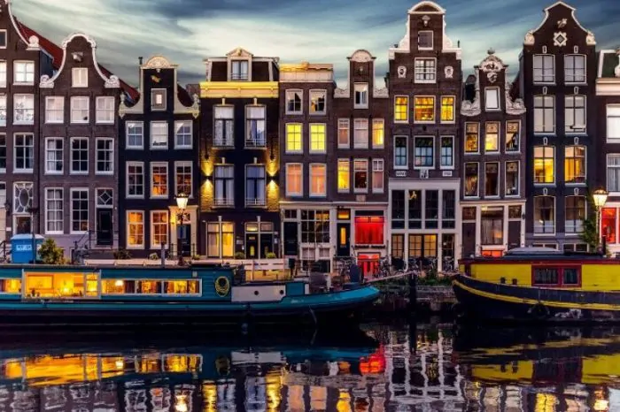 Мої ГОЛЛАНДСЬКІ тюльпанчики!