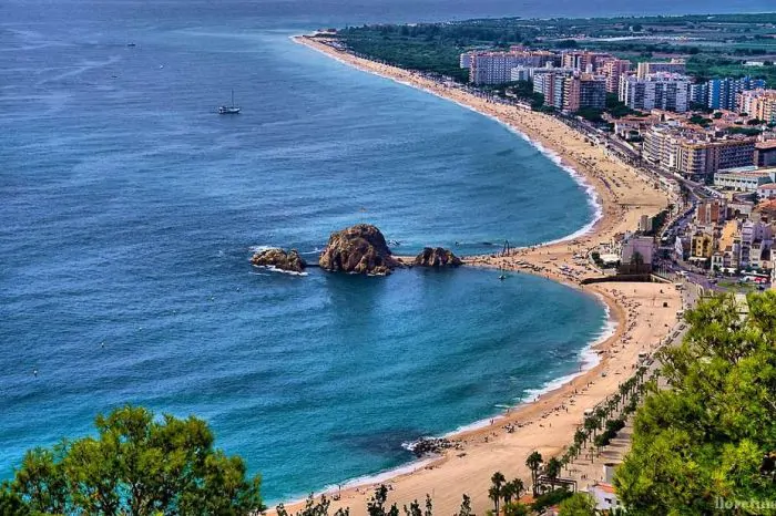 I need Spain